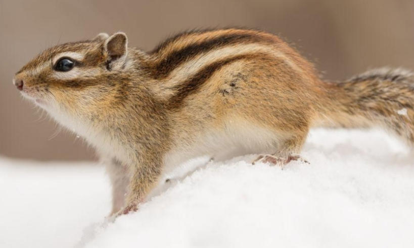 南通錦鑫機械制造有限公司輪播圖2
